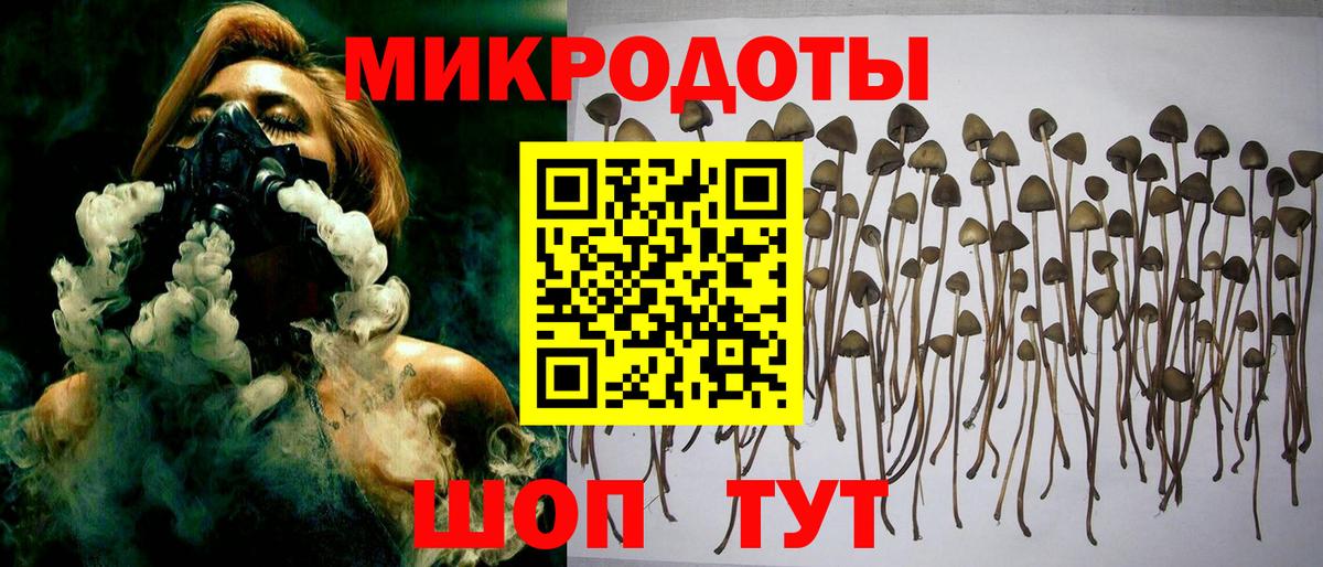 Псилоцибиновые грибы прущие грибы Славгород